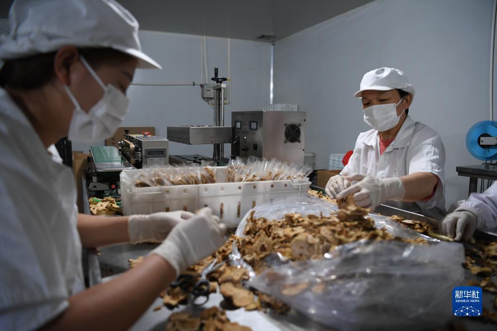 捕鱼赚钱游戏赚人民币